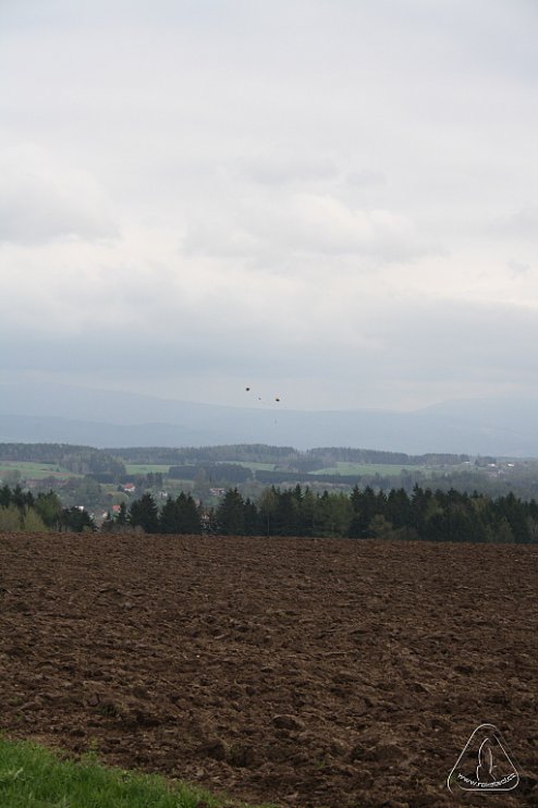 2013 Svojek Mirek Topinka